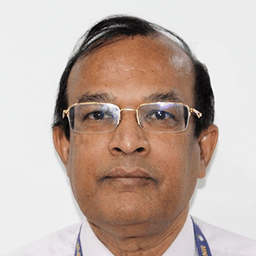 Prof. Lava Bhargava